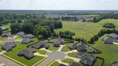 105 Leah Cv, Canton, MS 39046 photo 59