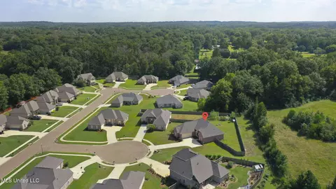 105 Leah Cv, Canton, MS 39046 photo 61