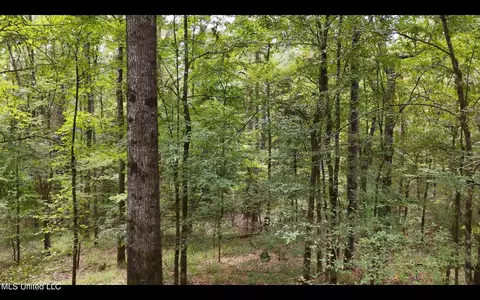 0 Shelby Rd, Hermanville, MS 39086