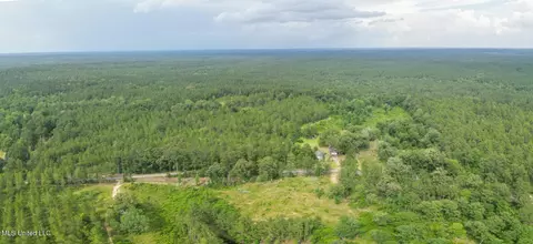 Nhn Tower Road, Wiggins, MS 39577 photo 3