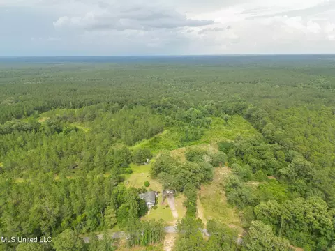 Nhn Tower Road, Wiggins, MS 39577 photo 2