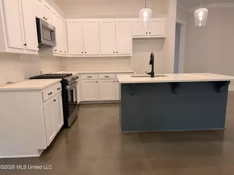 Kitchen - 192 Lake Harbor Rd, Brandon, MS 39047 photo 1 of 1