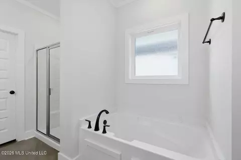 Bath - 192 Lake Harbor Rd, Brandon, MS 39047 photo 2 of 2