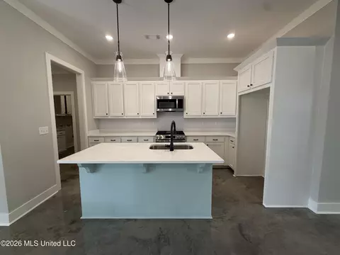 194 Lake Harbor Rd, Brandon, MS 39047 photo 4