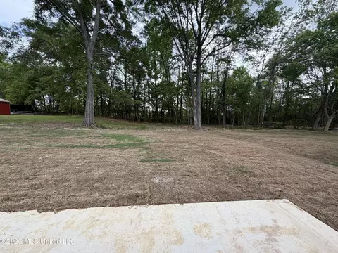 Exterior - 196 Lake Harbor Rd, Brandon, MS 39047 photo 3 of 4