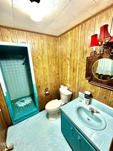 Bath - 621 NE Felder Ln, Brookhaven, MS 39601 photo 2 of 2
