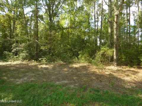 Adron Boyd Road, Tylertown, MS 39667
