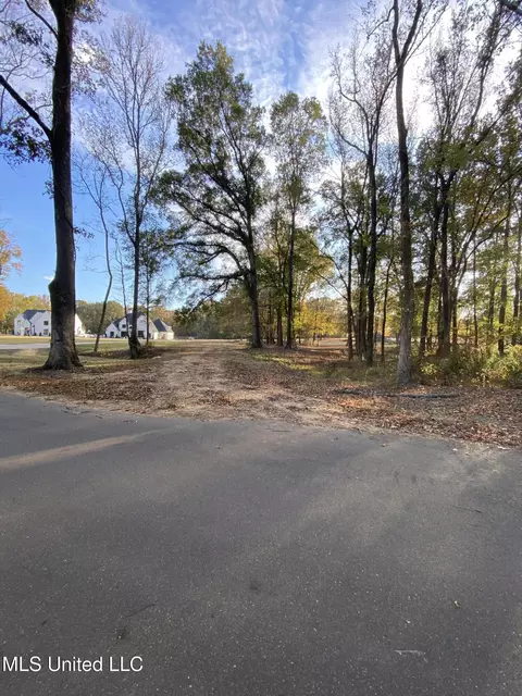lot5 B Bright Rd, Hernando, MS 38632 photo 2