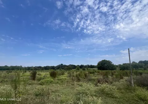 000 Sharon Rd, Canton, MS 39046 photo 5
