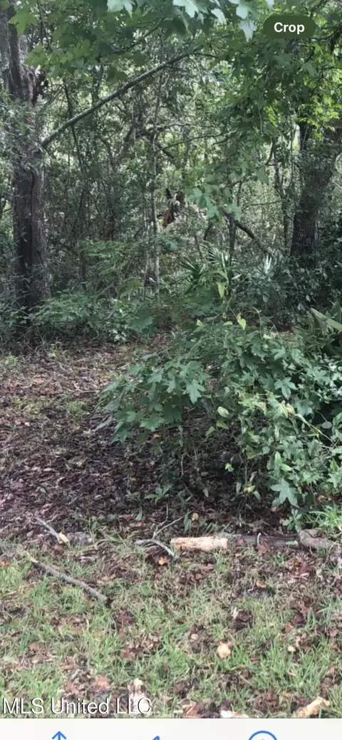 0 Boxwood Ln, Gautier, MS 39553
