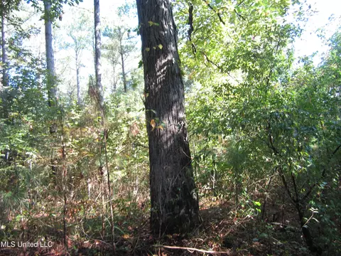 Cr 301, Walnut, MS 38683 photo 11