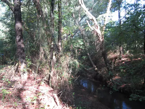 Cr 301, Walnut, MS 38683 photo 6