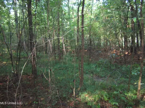 Cr 301, Walnut, MS 38683 photo 4