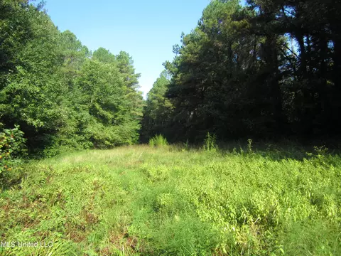 Cr 301, Walnut, MS 38683 photo 8