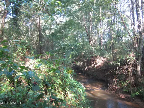 Cr 301, Walnut, MS 38683 photo 5