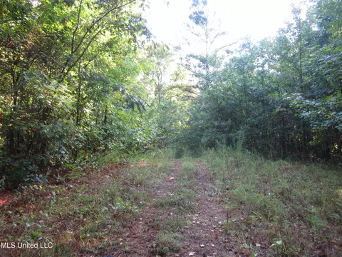 Cr 301, Walnut, MS 38683 photo 3