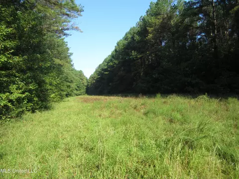Cr 301, Walnut, MS 38683 photo 10
