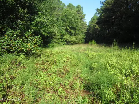 Cr 301, Walnut, MS 38683 photo 7