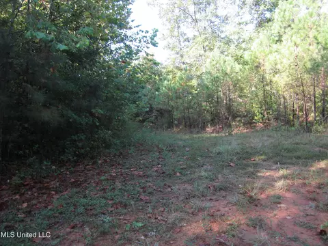 Cr 301, Walnut, MS 38683 photo 2