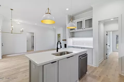 Kitchen - 532 Baleigh Way, Canton, MS 39046 photo 2 of 2