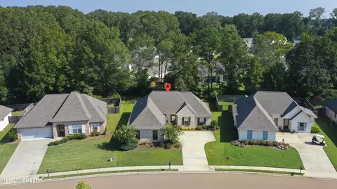 View/Area - 138 Shoreview Dr, Madison, MS 39110 photo 1 of 3