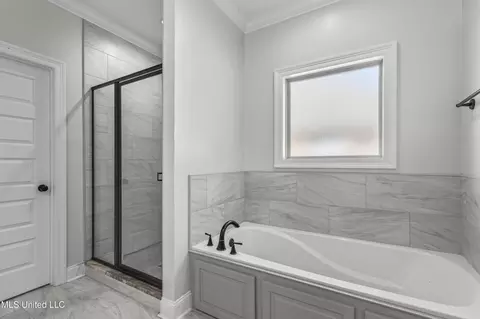 Bath - 138 Shoreview Dr, Madison, MS 39110 photo 1 of 3