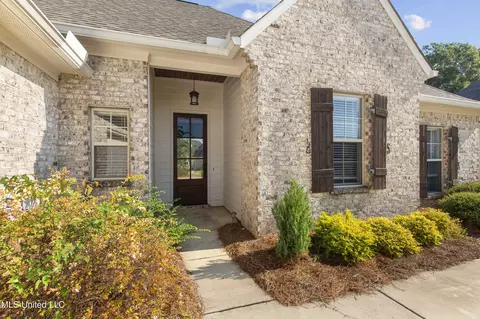 Other - 138 Shoreview Dr, Madison, MS 39110 photo 2 of 13