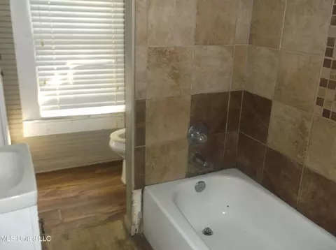 Bath - 127 N Pine St, Bude, MS 39630 photo 1 of 2
