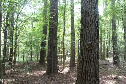 NE Greenhill Trail, Brookhaven, MS 39601 photo 9