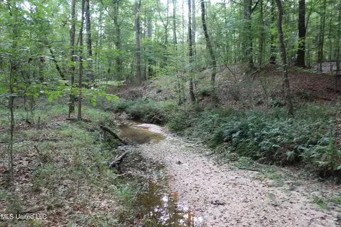 NE Greenhill Trail, Brookhaven, MS 39601 photo 10