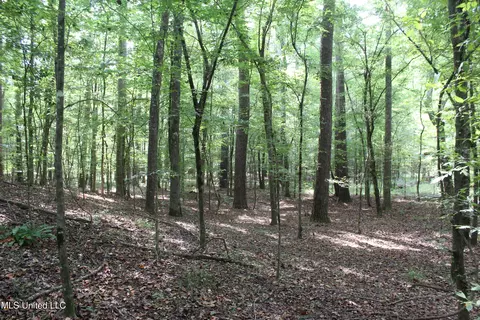 NE Greenhill Trail, Brookhaven, MS 39601 photo 3