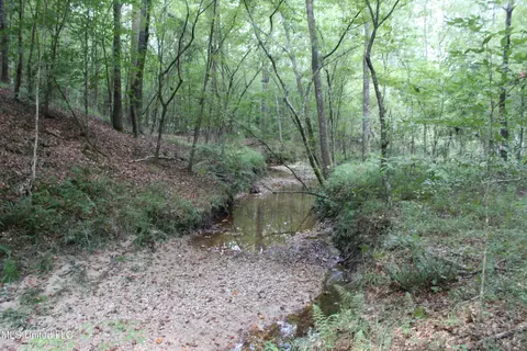 NE Greenhill Trail, Brookhaven, MS 39601 photo 11