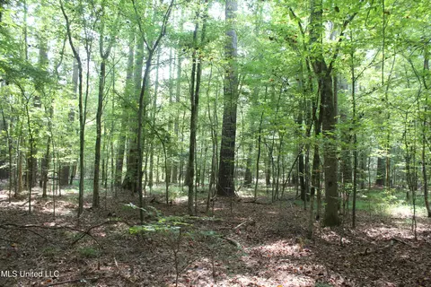 NE Greenhill Trail, Brookhaven, MS 39601 photo 6