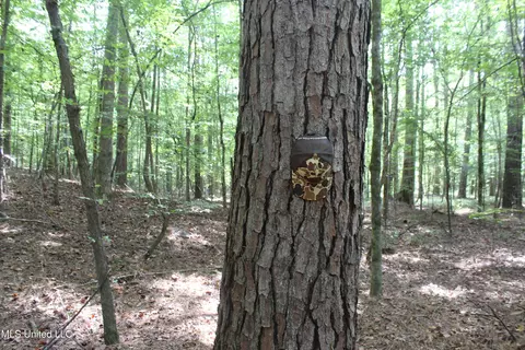 NE Greenhill Trail, Brookhaven, MS 39601 photo 4