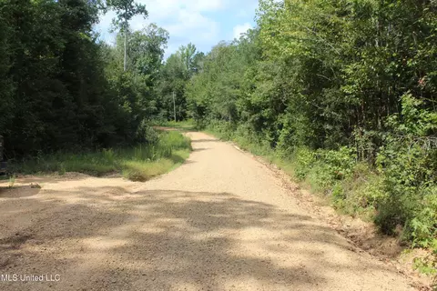 NE Greenhill Trail, Brookhaven, MS 39601 photo 2