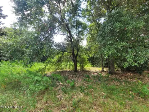 Magnolia Street, Gulfport, MS 39507