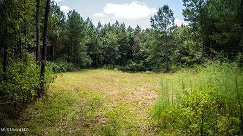 4069 Dixie Garden Rd, Wesson, MS 39191 photo 34