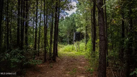 4069 Dixie Garden Rd, Wesson, MS 39191 photo 33