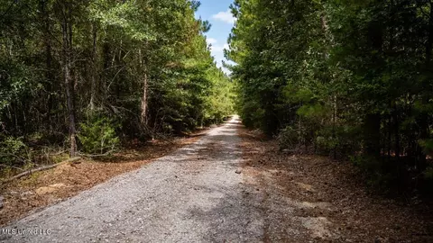 4069 Dixie Garden Rd, Wesson, MS 39191 photo 28