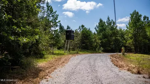 4069 Dixie Garden Rd, Wesson, MS 39191 photo 29