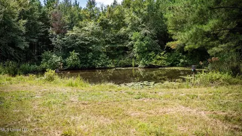 4069 Dixie Garden Rd, Wesson, MS 39191 photo 37