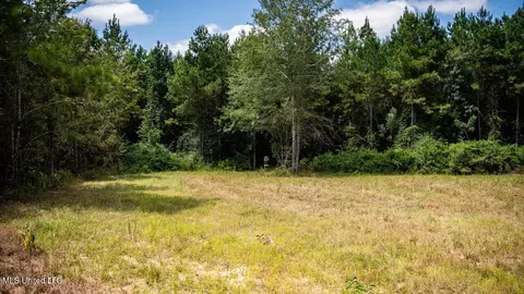 4069 Dixie Garden Rd, Wesson, MS 39191 photo 32
