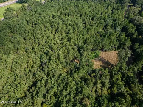 4069 Dixie Garden Rd, Wesson, MS 39191 photo 7