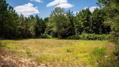 4069 Dixie Garden Rd, Wesson, MS 39191 photo 30