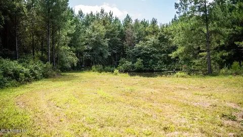 4069 Dixie Garden Rd, Wesson, MS 39191 photo 36