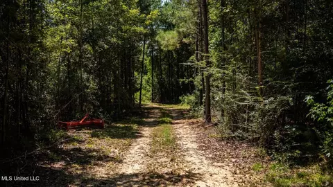 4069 Dixie Garden Rd, Wesson, MS 39191 photo 19