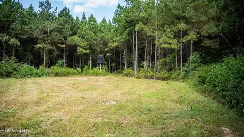 4069 Dixie Garden Rd, Wesson, MS 39191 photo 41