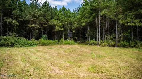 4069 Dixie Garden Rd, Wesson, MS 39191 photo 40