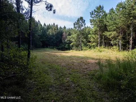 4069 Dixie Garden Rd, Wesson, MS 39191