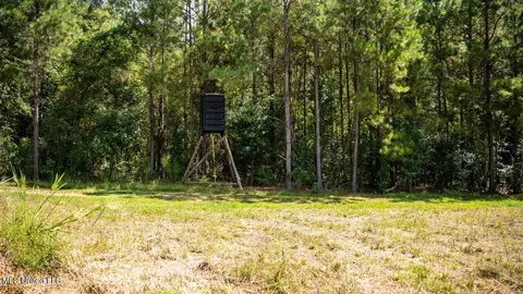 4069 Dixie Garden Rd, Wesson, MS 39191 photo 26